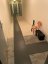 Mosolut Machine Industrial PVC Tiles, 7mm, Smooth, Graphite