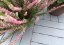 Mosolut Hestra outdoor flooring, Woodlook, grey, 1 m²