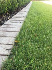 Zatravňovací rohož BERA Grass Fix ECO+, šedá